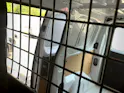 Toyota PROACE Van L1 1.5 D Active