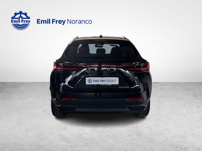 Fahrzeugbild LEXUS NX