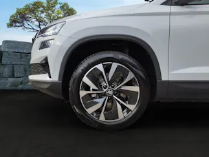 Škoda Karoq 2.0 TDI CR Selection 4x4 DSG