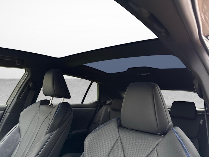 immagine del veicolo LEXUS RZ