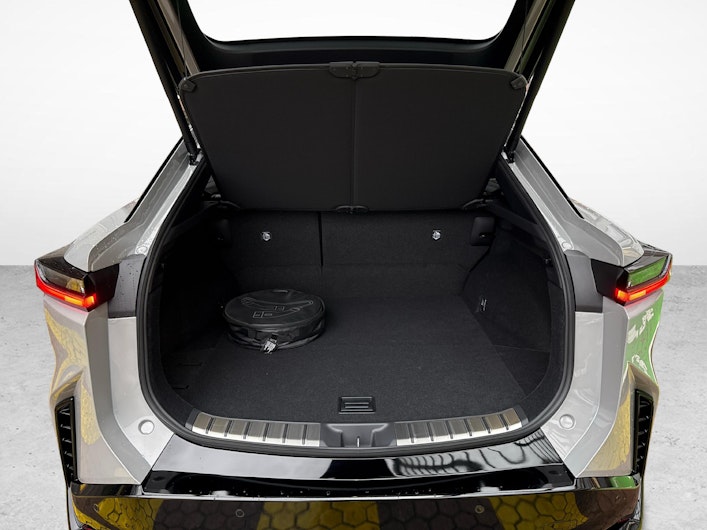 immagine del veicolo LEXUS RZ