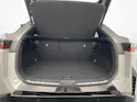 Lexus RZ 550e F Sport ab 0.9% Leasing