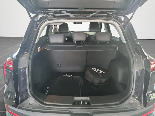 JAC e-JS4 Electric