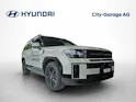 Hyundai Santa Fe 1.6 T-GDi Calligraphy 4WD Plug-in Hybrid