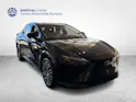 Lexus RZ 500e Excellence