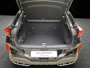 Cupra Terramar 2.0 TSI DSG 4Drive VZ
