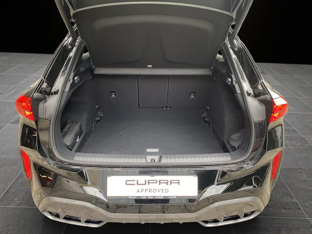 Cupra Terramar 2.0 TSI DSG 4Drive VZ