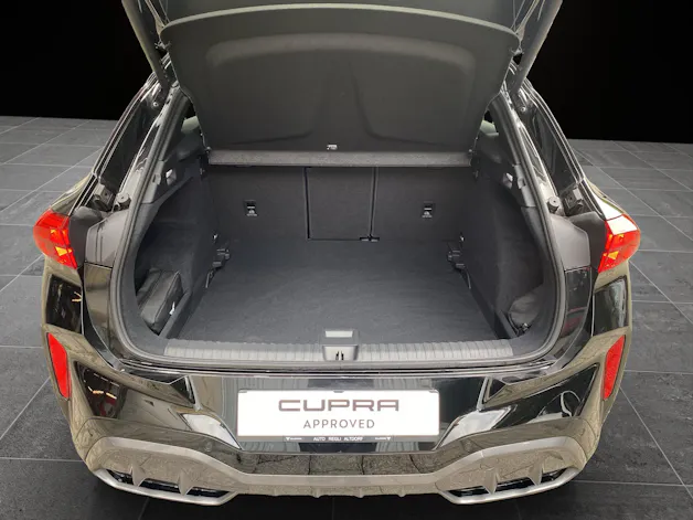 Cupra Terramar 2.0 TSI DSG 4Drive VZ