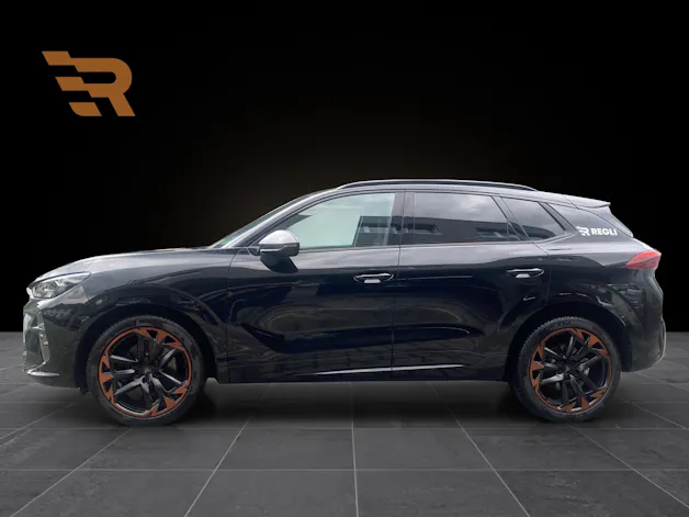 Cupra Terramar 2.0 TSI DSG 4Drive VZ