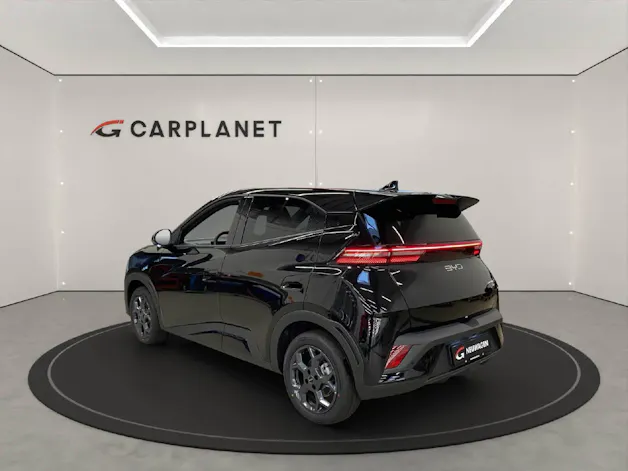 BYD Dolphin Surf Comfort