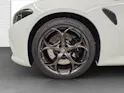 Alfa Romeo Giulia 2.9 V6 Biturbo Quadrifoglio Super Sport Carbonroof