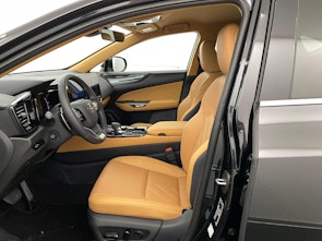 Vehicle image LEXUS NX 450h+ Comfort