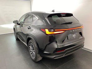 Vehicle image LEXUS NX 450h+ Comfort