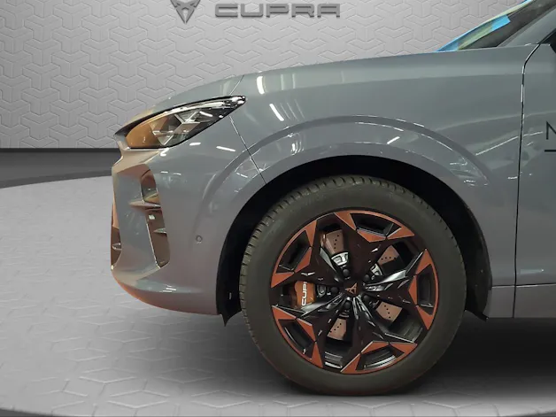 Cupra Terramar 2.0 TSI DSG 4Drive VZ