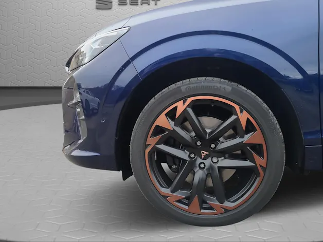 Cupra Terramar 2.0 TSI DSG 4Drive VZ