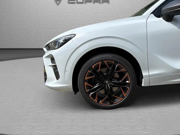 Cupra Terramar 2.0 TSI DSG 4Drive VZ