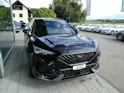 Cupra Formentor 2.0 TSI 4Drive DSG