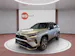 Toyota RAV4 2.5 Plug-In-Hybrid Platinum inkl. Gratisservice 4 Jahre / 60000 Km ab 1. IV / Winterkompletträder