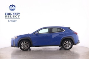 Vehicle image LEXUS UX 250h F-Line