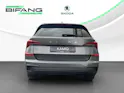 Škoda Kamiq 1.0 TSI Dynamic DSG