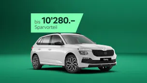 Škoda Kamiq 1.0 TSI Dynamic DSG