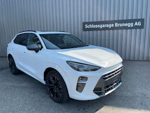 Cupra Terramar 2.0 TSI DSG 4Drive VZ