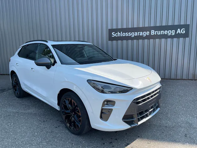 Cupra Terramar 2.0 TSI DSG 4Drive VZ