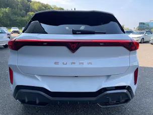 Cupra Terramar 2.0 TSI DSG 4Drive VZ