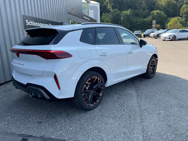 Cupra Terramar 2.0 TSI DSG 4Drive VZ