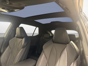 Fahrzeugbild LEXUS RZ 550e F Sport