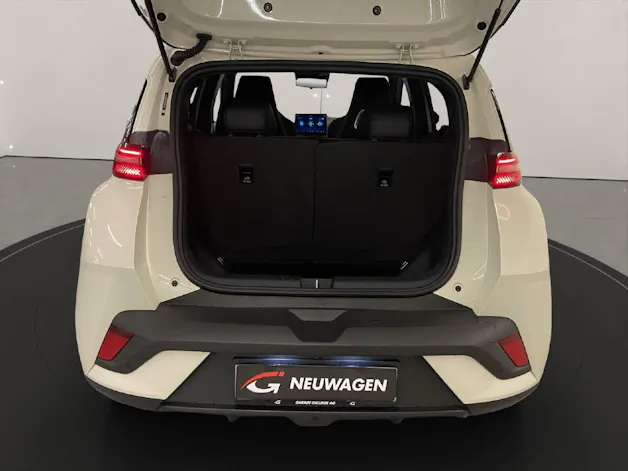BYD Dolphin Surf Comfort