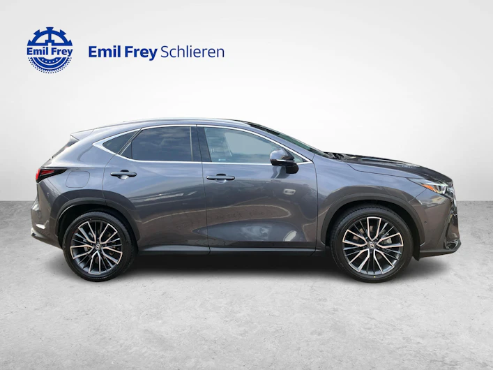 Fahrzeugbild LEXUS NX