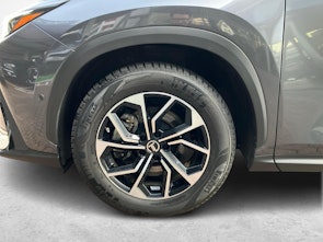 immagine del veicolo LEXUS NX 450h+ Excellence