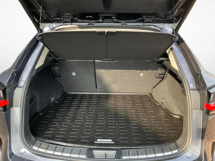 Fahrzeugbild LEXUS NX