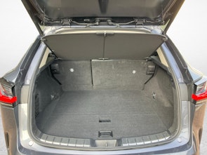 immagine del veicolo LEXUS NX 450h+ Excellence