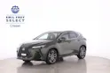 Lexus NX 450h+ Excellence