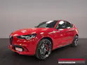 Alfa Romeo STELVIO 2.9 V6 Biturbo Q4 Q