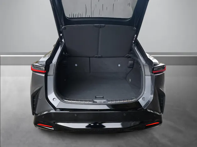 Lexus RZ 500e Excellence