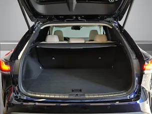 Lexus RX 350h Excellence