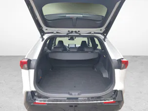 Toyota RAV4 2.5 Plug-In-Hybrid Platinum