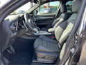 Alfa Romeo Stelvio 2.0 Q4 280 Veloce Premium Sky
