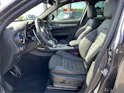 Alfa Romeo Stelvio 2.0 Q4 280 Veloce Premium Sky