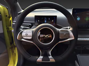 BYD Dolphin Surf 30 kWh Active