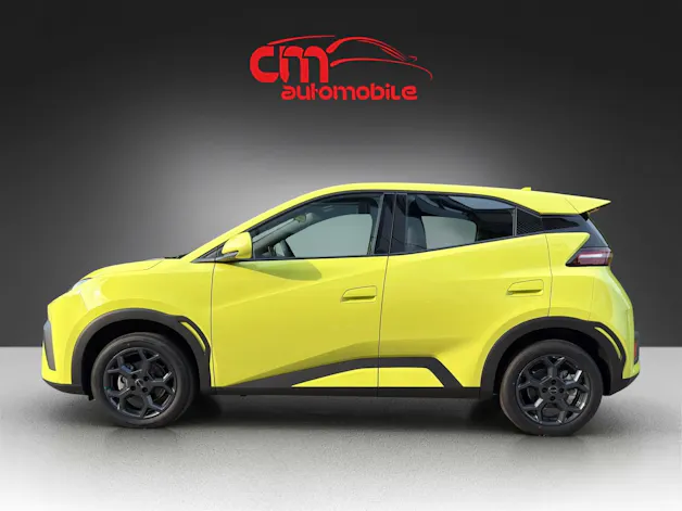 BYD Dolphin Surf 30 kWh Active