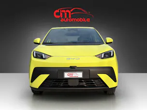 BYD Dolphin Surf 30 kWh Active