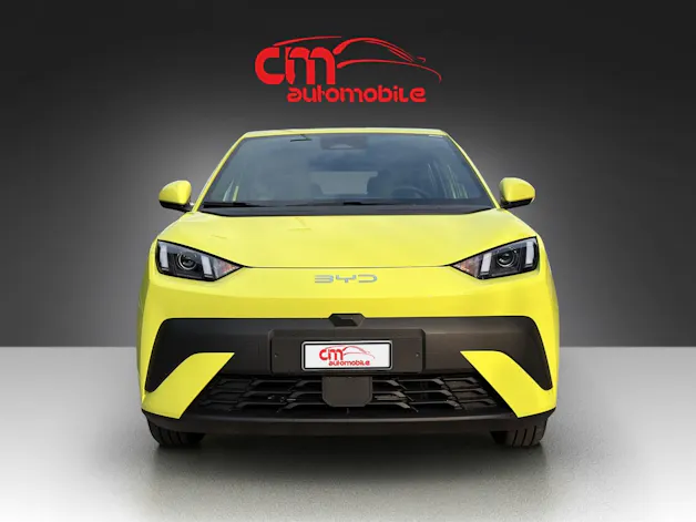 BYD Dolphin Surf 30 kWh Active
