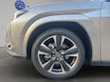 Lexus UX 300h Excellence