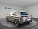 Lexus UX 300h Excellence