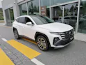 Hyundai Tucson 1.6 T-GDi HEV Vertex Swiss Edition 4WD