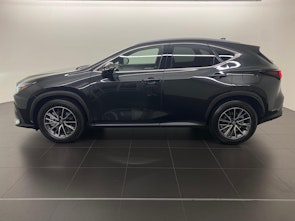 Vehicle image LEXUS NX 450h+ Comfort